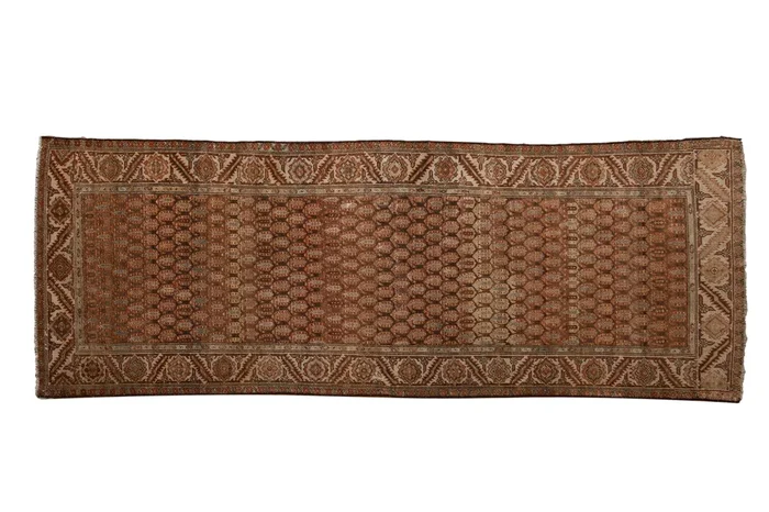 3.5×9.5 Vintage Distressed Hamadan Rug Runner