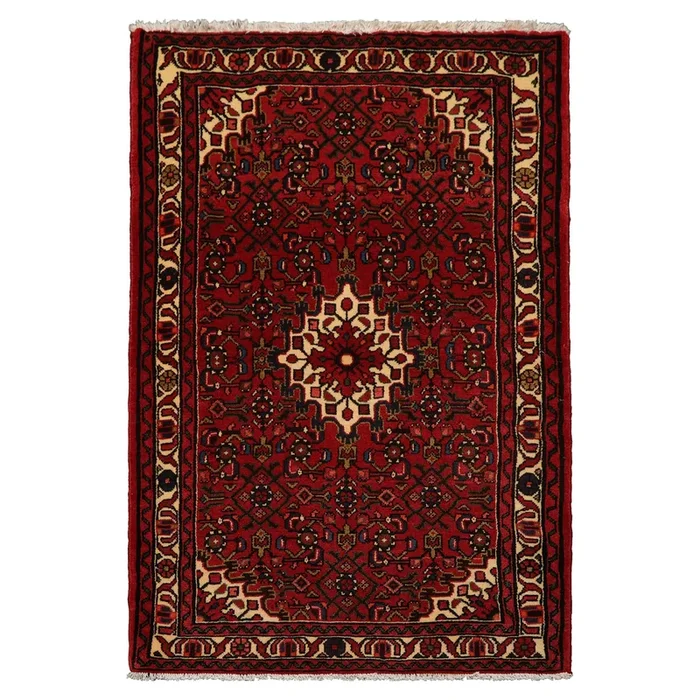 3’7”x5’3” Hand Knotted Wool Rust Abadeh Traditional Rug