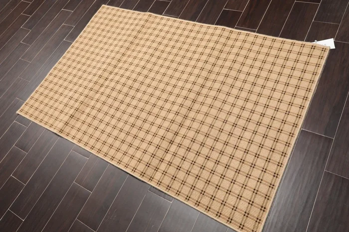 3’9″ x 5’11” Contemporary 100% Wool Area Rug Tan