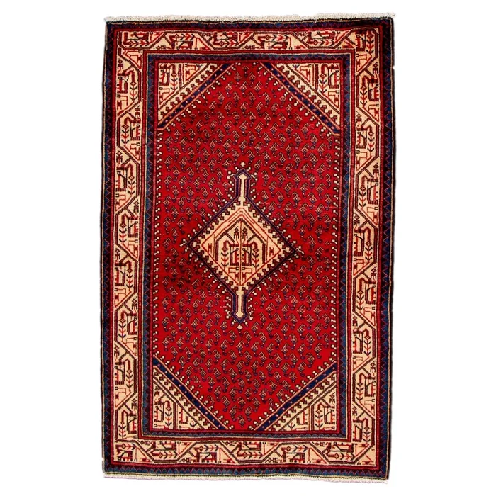 3′ 4″ x 5′ 3″ (03×05) Hamadan Wool Rug #013197