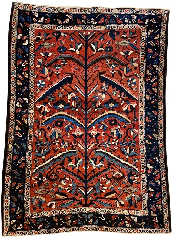 4’8″x6’6″ Baktiatri