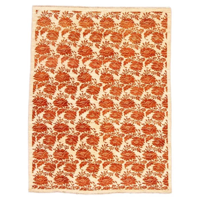 4′ 9″ x 6′ 3″ (05×06) Afghan Bessarabian Wool Rug #010301