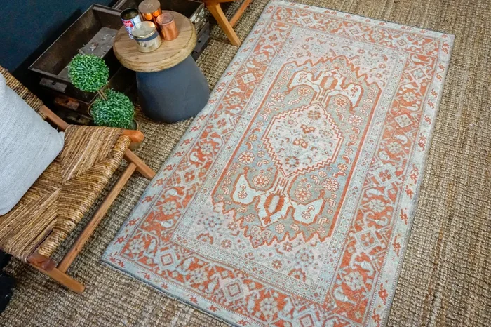 4’ x 6’8 Classic Vintage Rug Muted Sockeye Salmon, Blue + Pink Carpet ‘3726