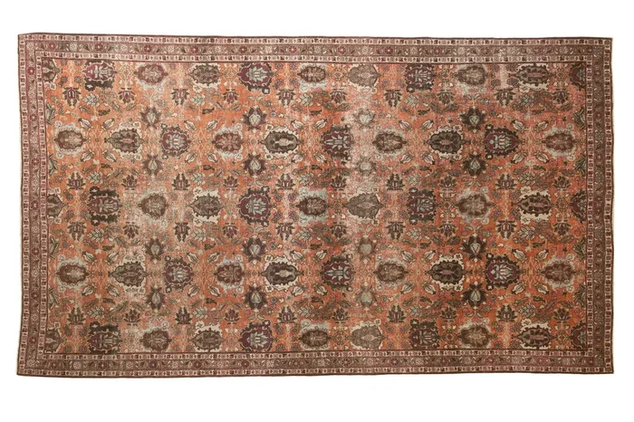 5×9 Vintage Distressed Veramin Carpet