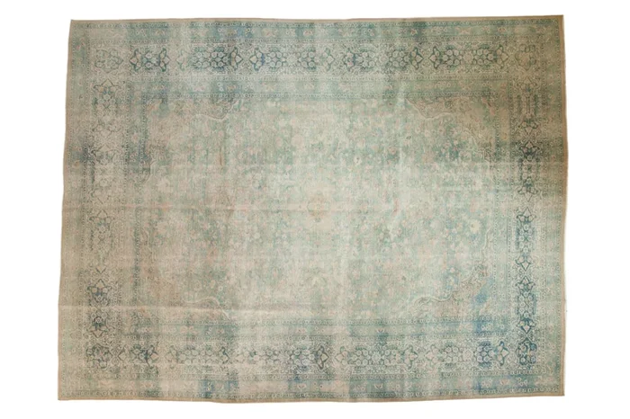 9×11 Vintage Distressed Meshed Carpet