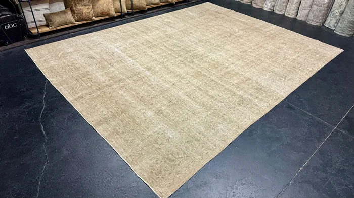 9’6 x 12’10 Classic Vintage Rug Muted Beige, Light Tawny Brown, Green & Salmon ‘5337