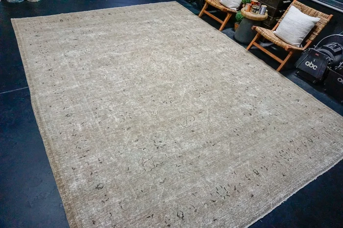 9’8 x 13’2 Classic Antique Carpet Muted Beige + Denim Blue ‘4230