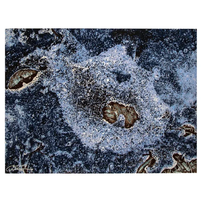 9′ 0″ x 11′ 11″ (09×12) Brian Orner Collection Ice Over Leaves (1 of 19) Wool Rug #013369