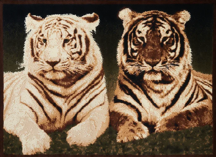 910-Tiger Colors Synthetic Blend Indoor Area Rug by United Weavers