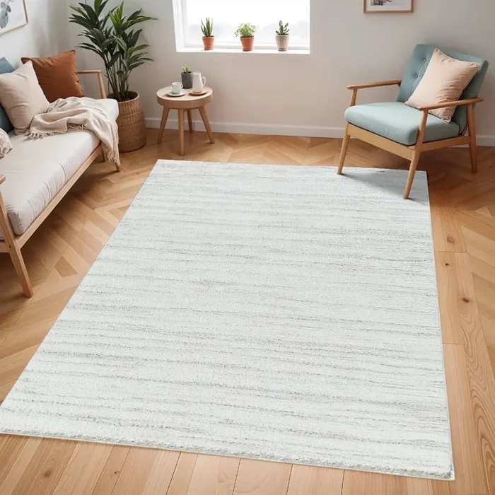 ADLEY Shaggy Modern Plush Pile Light Grey Rug