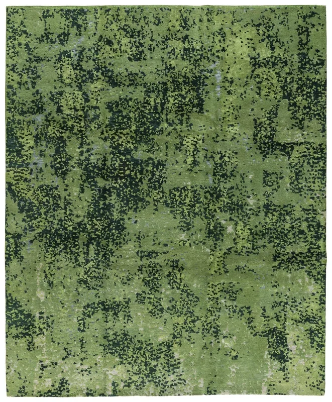 ANALOMORPH FOREST SAMPLE