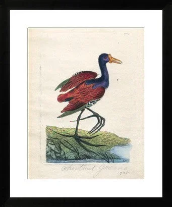 Antique Chestnut Jacona Revival Print