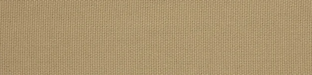 Belgian Champagne Cotton