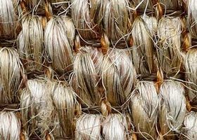 Belgian Wild Rice Sisal Medium Rug with Belgian Jute binding