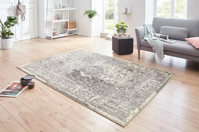 Celebration Plume Cream Grey 103468 Rug