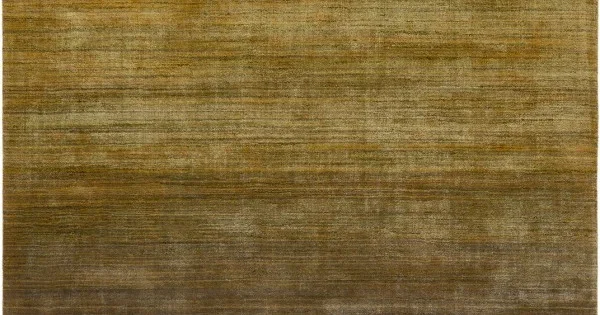 Chandra CLEO CLE-49102 5 ft. X 7 ft. 6 in. Rect. Rug – Green