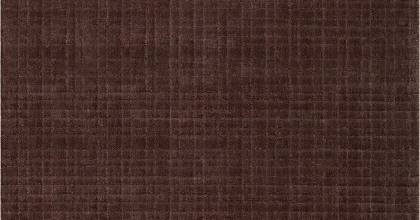 Chandra REYNA REY-55302 5 ft. X 7 ft. 6 in. Rect. Rug – Chocolate