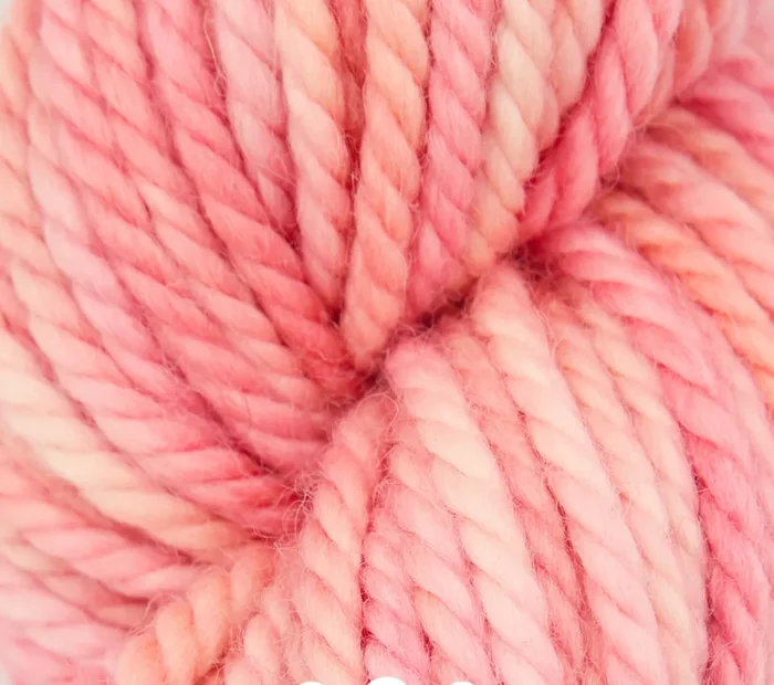 Cheeky Rug Yarn