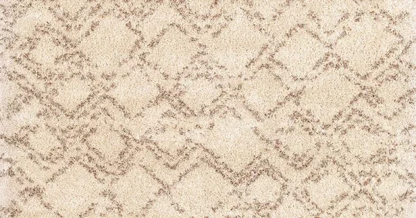 Couristan Bromley Pinnacle Ivory/Camel Area Rug 3 ft. 11 in. X 5 ft. 6 in. Rectangle