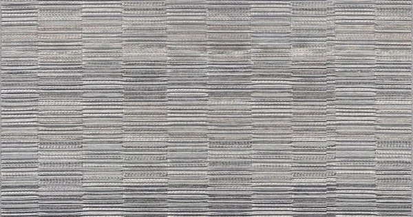 Couristan Cape Fayston Silver/Charcoal Area Rug 2 ft. X 3 ft. 7 in. Rectangle