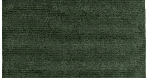 Feizy Cornerstone Green CNS8A22F 2 ft. X 3 ft. Rect. Rug
