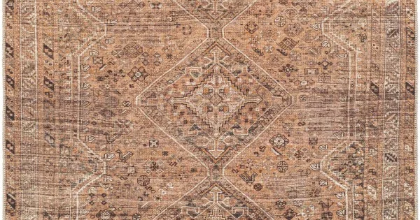 Livabliss Amelie AML2384 Light Brown Orange Area Rug 8 ft. 10 in. X 12 ft. Rectangle