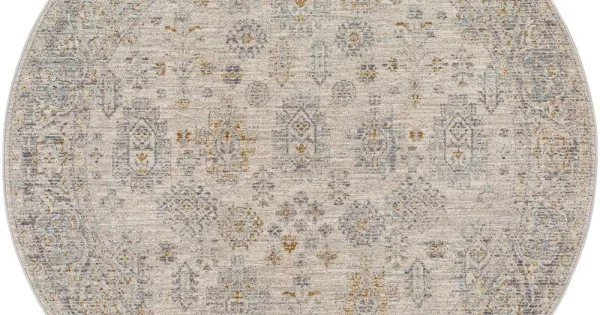 Livabliss Avant Garde AVT2342 Medium Gray Charcoal Area Rug 7 ft. 10 in. Round Round