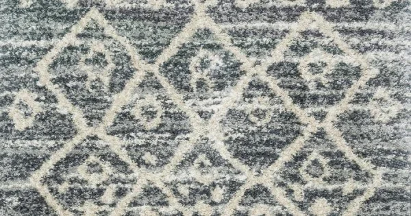 Loloi Quincy QC-02 GRAPHITE / BEIGE Area Rug 8 ft. 10 in. X 12 ft. Rectangle