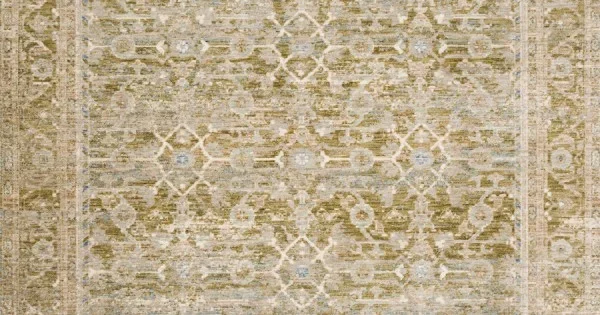 Loloi Revere REV-07 AVOCADO / MULTI Area Rug 3 ft. 9 in. X 5 ft. 9 in. Rectangle