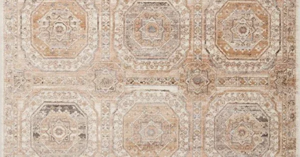 Loloi Sonnet SNN-06 Apricot / Multi Area Rug 2 ft. 6 in. X 12 ft. 0 in. Rectangle