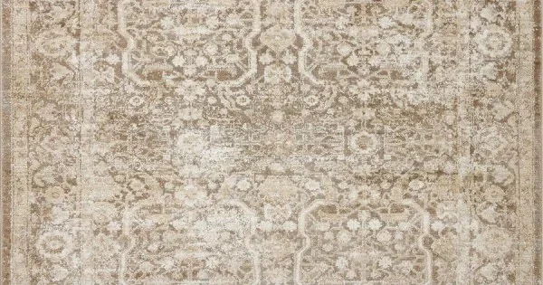 Loloi Sonnet SNN-09 Mocha / Tan Area Rug 2 ft. 6 in. X 8 ft. 0 in. Rectangle