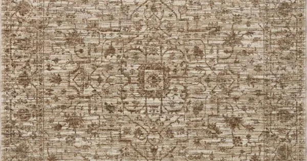 Loloi Sorrento SOR-01 Bark / Natural Area Rug 6 ft. 7 in. X 9 ft. 10 in. Rectangle