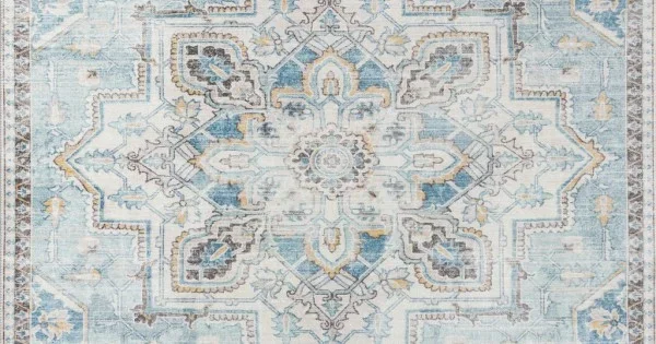 Momeni Afshar Afs32 L.Blue Area Rug 2 ft. X 3 ft. Rectangle