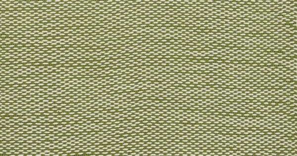 Momeni Paracord Green PCD-1 8 ft. X 10 ft. Rect. Rug