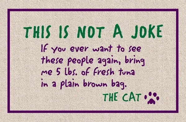 Not a Joke – The Cat Olefin Doormat