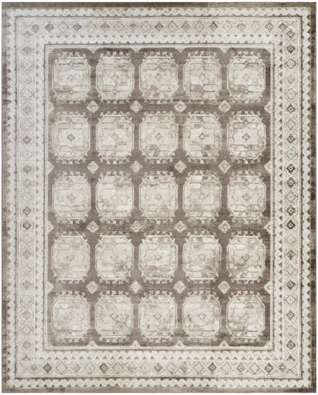 Nourison Home Dekor DEK01 Ivory Brown Traditional Machine Woven Rug
