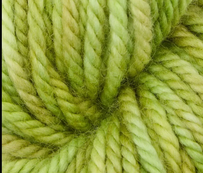 Parakeet Rug Yarn