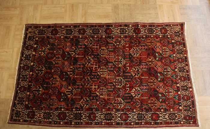 Persian Bakhtiari Hand Knotted Rug