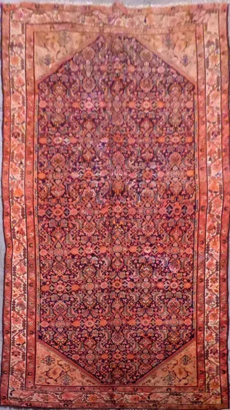 Persian Malayer Hand-Knotted Natural Wool Iranian Rug 9’10” X 5’1” Panr2389317