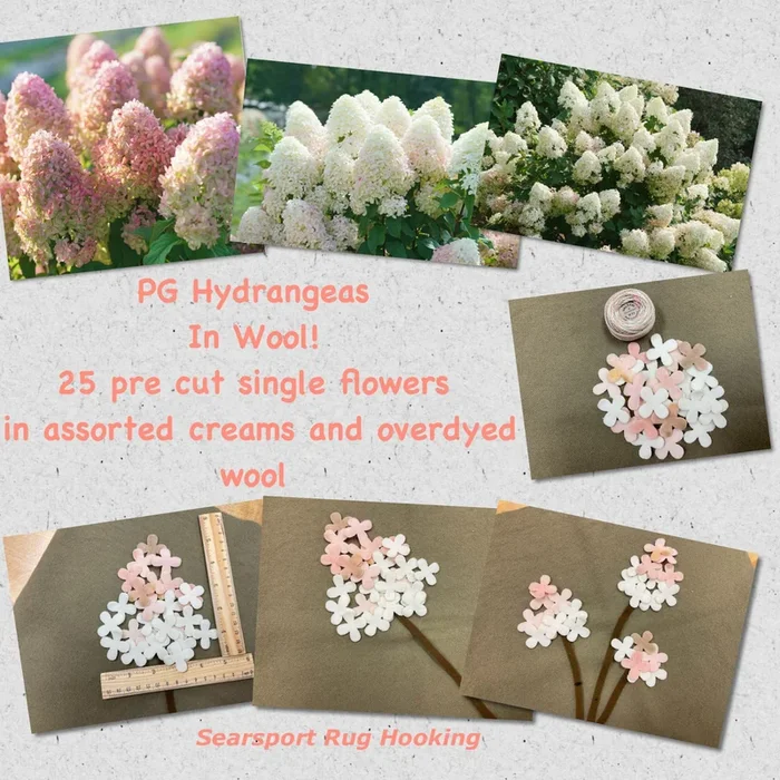 Pre cut PG Hydrangeas