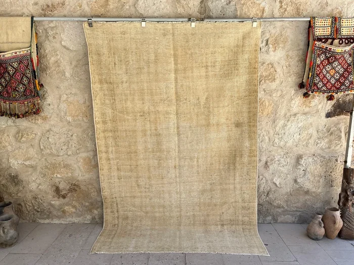Ramon 5’2” x 7’10”