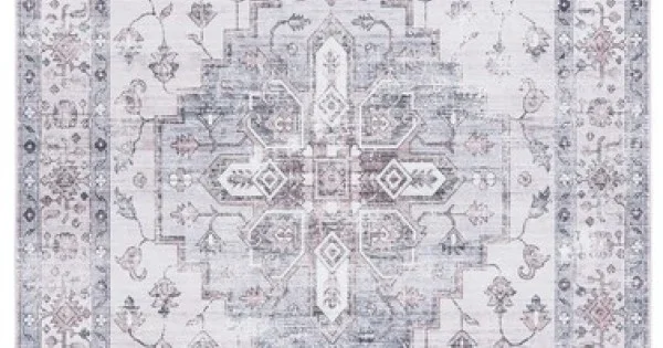 Safavieh Arizona ARZ209 Grey / Ivory 6′ X 9′ Rectangle Area Rug