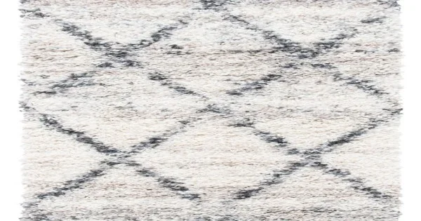 Safavieh Fontana Shag Grey / Ivory FNT886 2 ft. 3 in. X 16 ft. Runner Rug