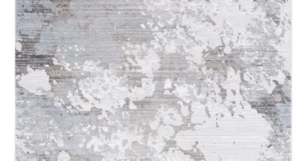 Safavieh Platinum Grey / Ivory PLA552 4 ft. X 6 ft. Rectangle Rug