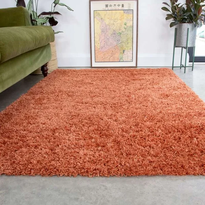 Soft Everyday Terracotta Shaggy Rug