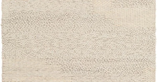 Surya Aravalli ARV1003 Ivory Medium Gray Area Rug 2 ft. X 3 ft. Rectangle