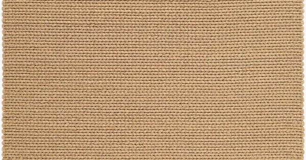 Surya Beach House Beige BHS-2302 2 ft. X 3 ft. Rect. Rug