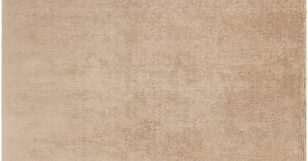 Surya Bellatrix BLL-3003 4′ x 6′ Rectangle Rug