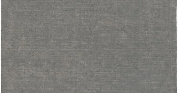Surya Bellatrix BLL-3004 4′ x 6′ Rectangle Rug