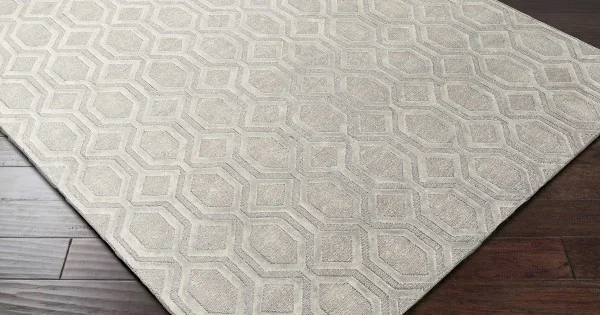 Surya Belvoire BEL3001 Light Gray Area Rug 2 ft. X 3 ft. Rectangle